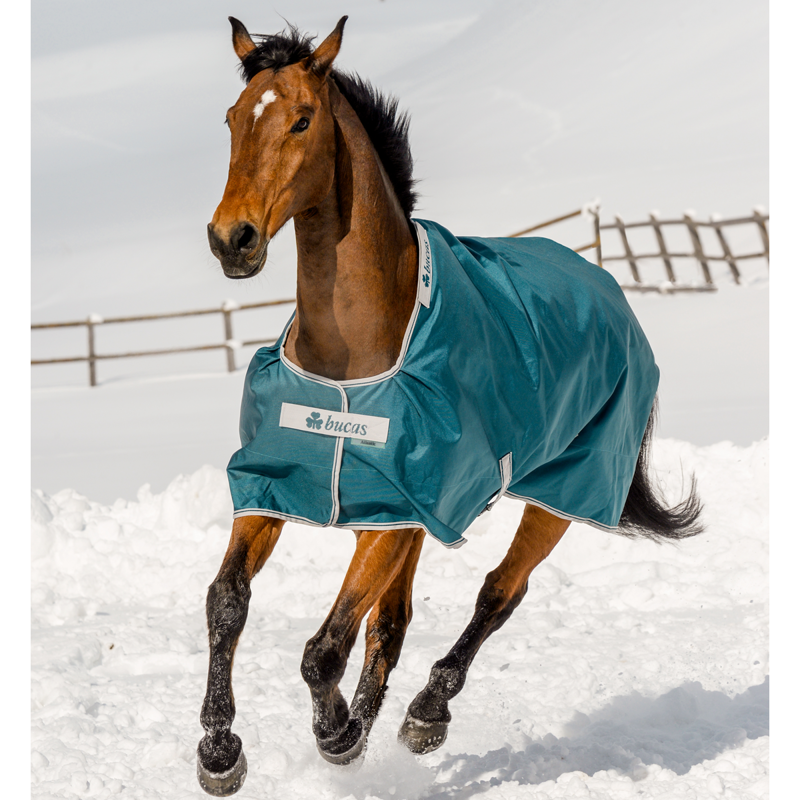 Bucas Atlantic 200g Pony Turnout - Atlantic Green-2